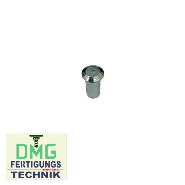GEZE Lagerbolzen 24 x 10mm für Scherenlager VR5/268